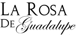 LA ROSA DE GUADALUPE 24/7